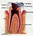 Dr Zaidah Razack - Dental Surgeon image 5