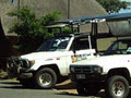 Hluhluwe Big 5 Safaris image 2