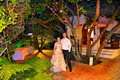 La Cigale Country Estate : Wedding and Conference Venue & Accommodation image 2