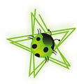 Ladybugs image 1