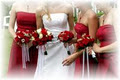 Lindene Wedding Planners image 2