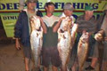 Mossel Bay Fishing Charters image 6