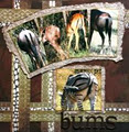 Needful Things Scrapbooking image 5