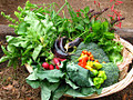 Outeniqua Farmers' Market image 2