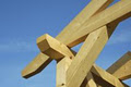 SWISSLINE DESIGN spruce and larch suppliers image 1