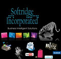 Softridge Inc. image 1