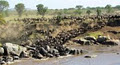 Talon Safaris image 2
