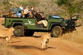 Talon Safaris image 6