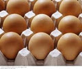 The Egg Barn image 1