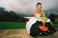Wedding Dresses Cape Town - Bridal Dresses - Bridal Gowns - Wedding Venues image 6