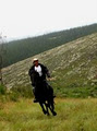 Wilderness Adventures Horse Trails logo