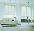anna patat blinds image 3