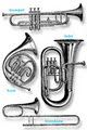 1SA Musical Instruments (by appointment) image 2
