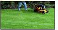 Lawnmower & Repair Centre image 2