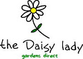 The Daisy Lady logo