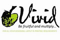 vivid designs logo
