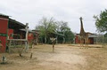 Accommodation near Kruger park Mufasa bush lodge image 1