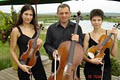 Allegro string quartet image 3