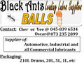 Black Ants Leading Lubes Supplies logo