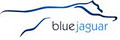 Blue Jaguar Consulting image 2