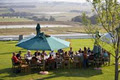 Easy Rider WIne Tours Stellenbosch image 3