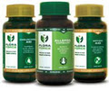 Flora Force Natural Health Products logo