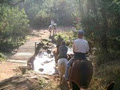Giba-Gorge Horse Trails image 1