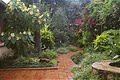 Green Lily Garden Design and Landscaping image 4