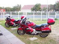 Honda Pan European Motorcycle Tours Cape Town South Africa logo