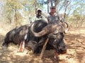 Hunt in Africa image 5