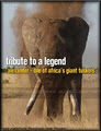 Hunting Legends Africa image 2