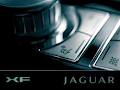 Jaguar Bedfordview image 4