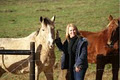 Klein Watervalplaas.. Farm holidays ! Equestrian holidays image 4
