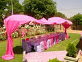 MP TRADING AND PROJECTS(catering and event organising and planning) image 2