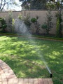 Mirrigation image 1