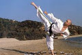 Neil Franks Martial Arts Centre image 3
