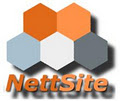 NettSite Internet Applications cc logo