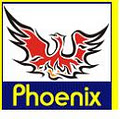Phoenix Business Solutions image 1
