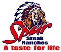 Sanchez Spur logo