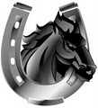 Stallion Hosting - Web Hosting South Africa logo