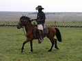 The Cowboy Ranch image 5