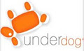 Underdog Productions (Pty) Ltd image 6