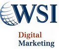 WSI Internet Marketing Mpumalanga logo