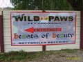 Wild Paws "Beasts of Beaty" logo