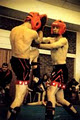 alive and kicking kickboxing image 2