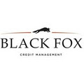Black Fox Credit Management image 4
