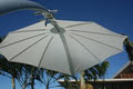 Durban Umbrella image 3