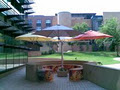 Durban Umbrella image 1