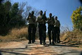 Fidelity Springbok Security logo