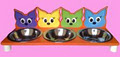 Funky Pet Bowls image 4